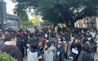 杭州美院2025分数线多少？