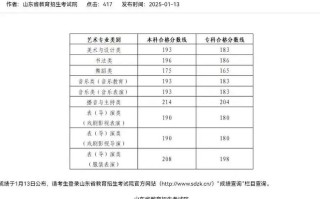 山东青年政治学院美术录取分数线是多少？