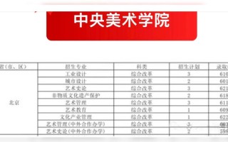 中央美院文化分数线多少？