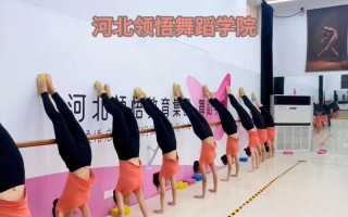 河北舞蹈艺考学校有哪些？