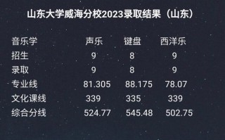 山大威海分校分数线舞蹈