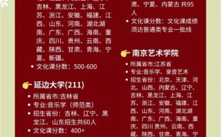 音乐艺考生可以考什么大学