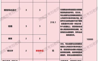 西南大学音乐专业专业分多少？