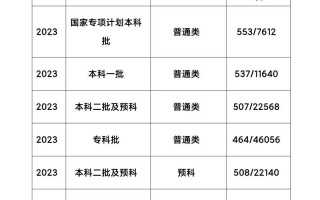云南民族大学舞蹈分数线多少？
