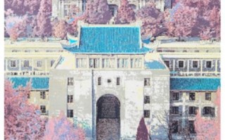 2025武大美术招生政策何时公布？