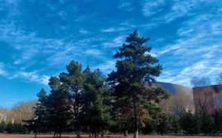 哈尔滨石油学院15音乐专业有何特色？