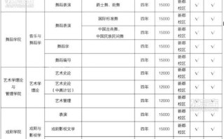 川音成都美术学院是几本？