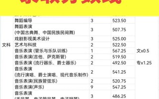 成都大学音乐分数线多少？