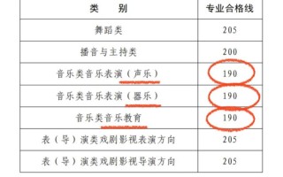 2025高考音乐特长生