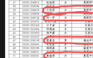 2025明星艺考成绩如何？谁成黑马？