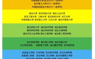 湖北哪些大学招生学音乐