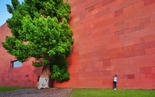 哪些美术学院承认美术联考成绩？