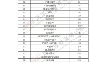 河南2025美术本科线