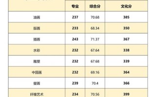 美术生查分包括美术分吗