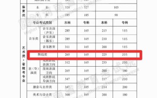 哪些大学认可舞蹈联考成绩？