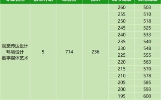 2025东华艺考录取分数线是多少？