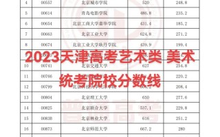 天津大学美术录取分数线多少？
