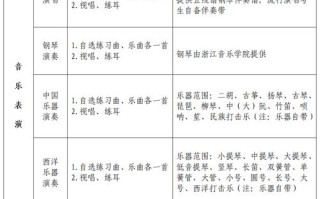 音乐表演可以自考本科吗