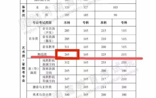 武汉体育舞蹈学校分数线是多少？