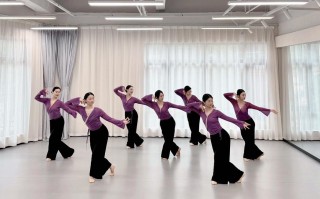 湖北哪些大学招舞蹈生？