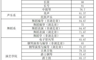 汉口学院音乐专业多少分