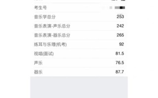 广东艺考音乐总分240，为何定此分？