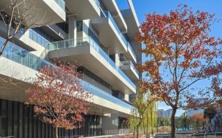 复旦大学上海视觉艺术学院美术学院有何特色？