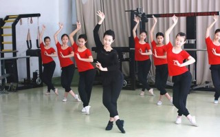 西北民族大学舞蹈专业招生信息在哪查？