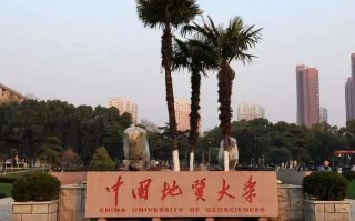 中国地质大学为何开设美术专业？