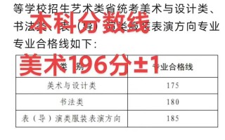 2025河南美术生文化分数线会涨吗？