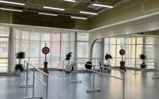 沈阳体育学院体育舞蹈学