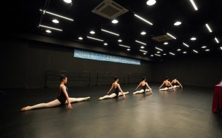 广西大学舞蹈特长生招生有何要求？