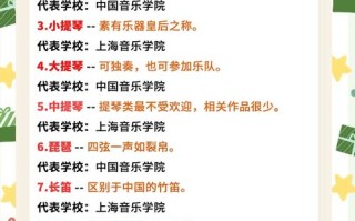 艺考音乐类考什么 乐器