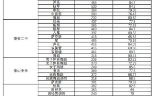 长安大学舞蹈特长生分数多少？