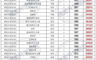 青岛大学2025美术分数线是多少？