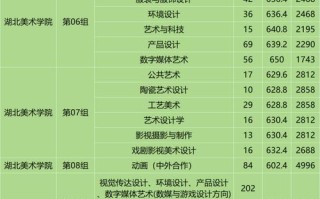 2025湖北美术联考分数线