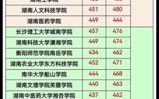 2025湖南美术本科线多少分？