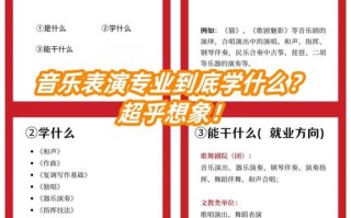 音乐表演专业如何认识与发展？