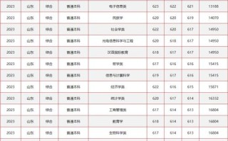 中央民大美术分数线多少？