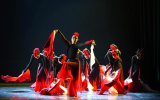 江苏大学生艺术舞蹈大赛