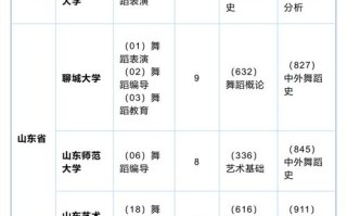 承认四川舞蹈联考的大学