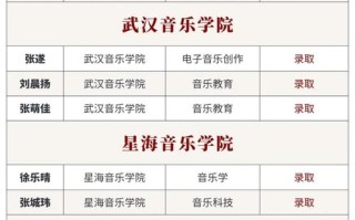 湖北有哪些院校设立了音乐专业？