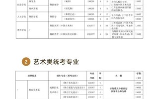 哪些学校招收舞蹈专业？