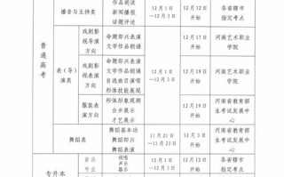2025年河南省美术统考分数段