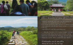 铜陵研学基地感悟，桐城研学旅行作文