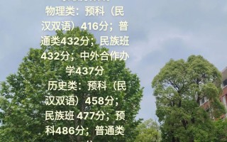 凯里学院舞蹈专业分数线是多少？
