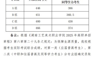湖南工艺美术职业学院分数线多少？