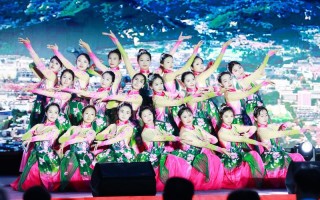 山东省专科舞蹈表演专业