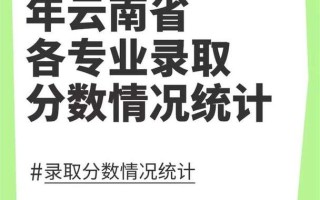 红河学院舞蹈录取分数线是多少？