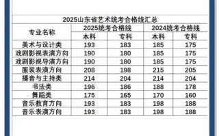 2025舞蹈艺考本科线是多少？